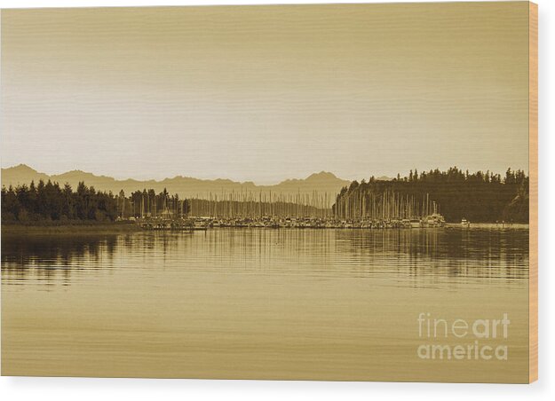 East Bay Wood Print featuring the photograph Swantown Marina And The Olympics In Sepia by Susan Parish