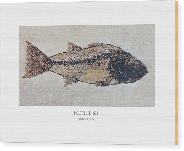 Fish Wood Print featuring the digital art Fossil Fish by Julian Perry