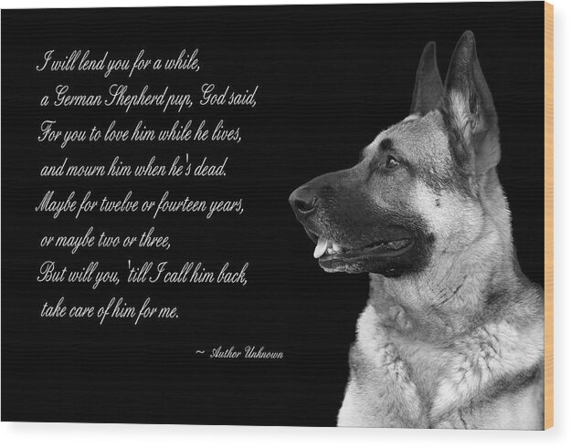 Dog Wood Print featuring the photograph Tribute to German Shepard by Cecil Fuselier