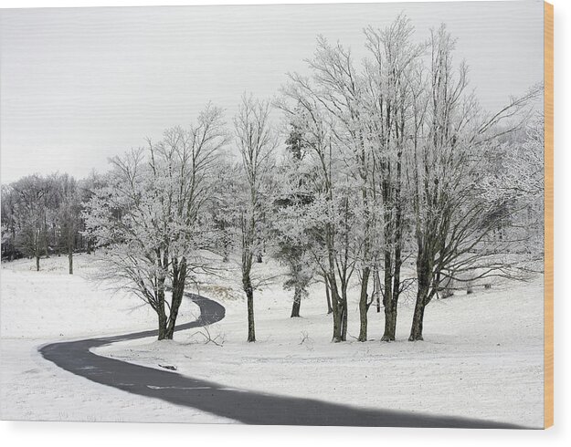 Ken Barrett Wood Print featuring the photograph Mac Rae Field Curved Path by Ken Barrett