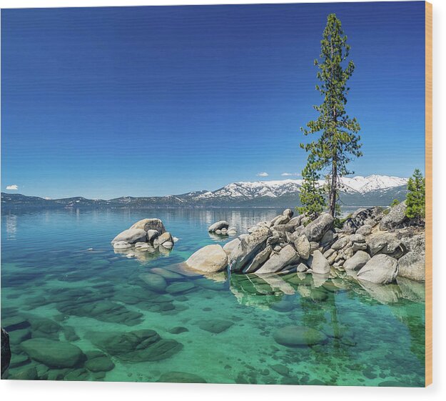 Lake Wood Print featuring the photograph Clear Water #1 by Martin Gollery