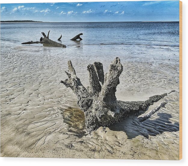 Landscape Wood Print featuring the photograph Sculpted by the Sea by Portia Olaughlin