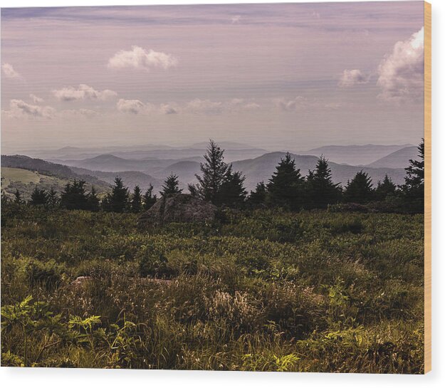 Blue Ridge Mountains Wood Print featuring the photograph Blue Ridge Overlook by Kevin Senter