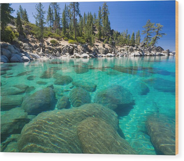 Lake Tahoe Sand Harbor Water Wood Print featuring the photograph Clear Water by Martin Gollery