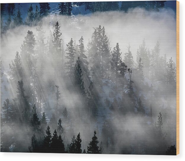 Clouds Wood Print featuring the photograph East Shore Inversion, Lake Tahoe by Martin Gollery