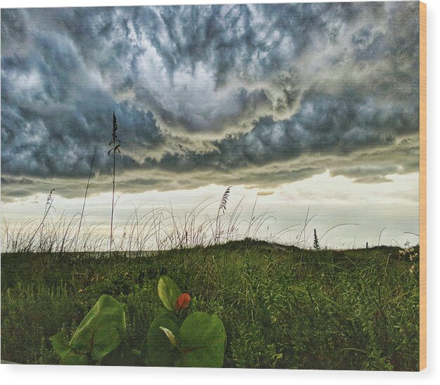 Grass Wood Print featuring the photograph Beautiful Storm by Portia Olaughlin