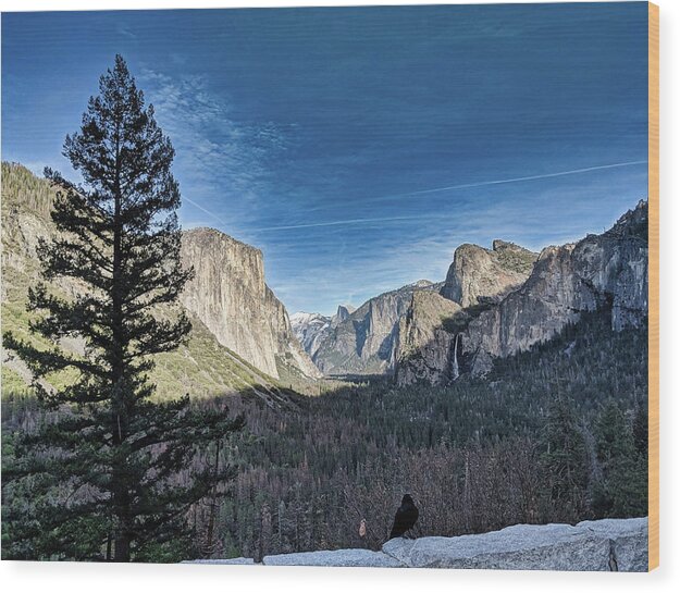 Mountain Wood Print featuring the photograph Shadows in the Valley by Portia Olaughlin