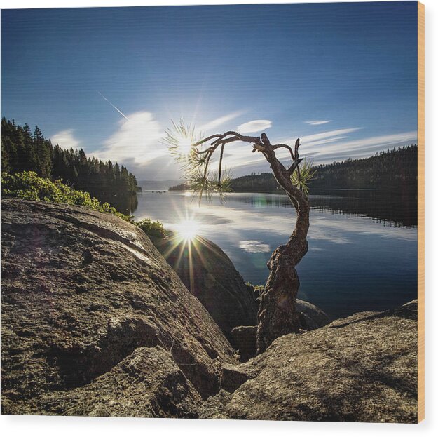 Lake Wood Print featuring the photograph Double Star by Martin Gollery