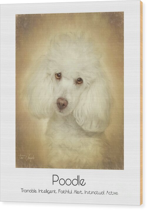 Poodle Wood Print featuring the digital art Poodle Poster by Tim Wemple