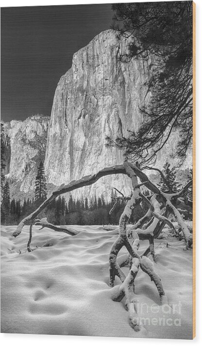 Michele Wood Print featuring the photograph El Capitan I by Michele Steffey