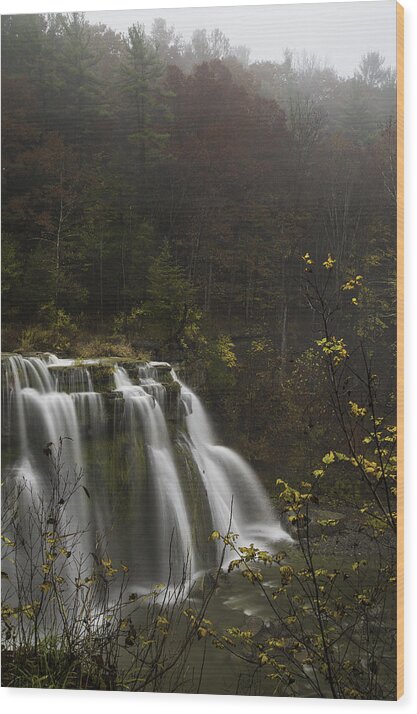 Flfap Wood Print featuring the photograph Ludlowville Falls in Autumn I by Michele Steffey