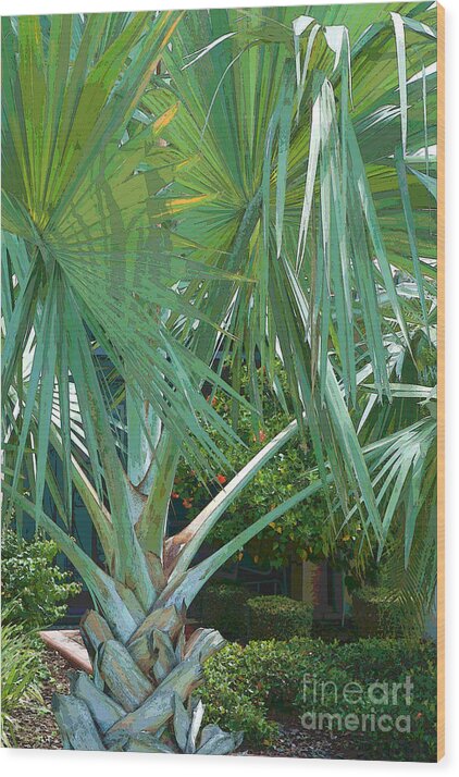 Graphics Wood Print featuring the digital art Fan Palm by Herb Paynter