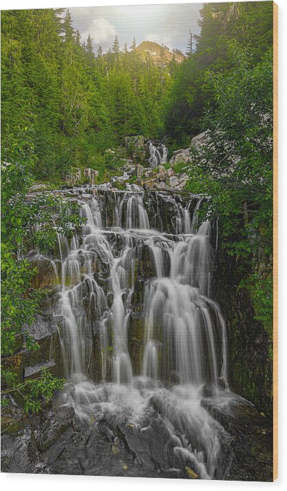 California Wood Print featuring the photograph Water fall in Mount Rainier National Park by Don Hoekwater Photography