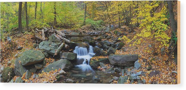 Creek Wood Print featuring the photograph Autumn creek panorama with yellow maple trees by Songquan Deng