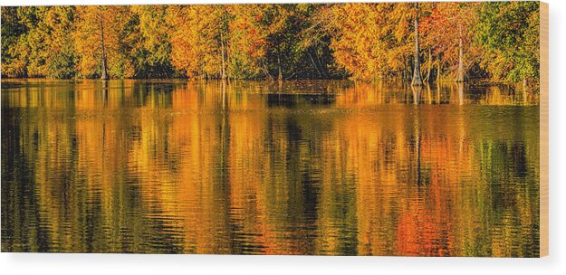 Autumn Wood Print featuring the photograph Autumn Reflections by David Kay