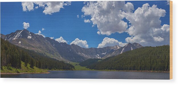 Colorado Wood Print featuring the photograph Clinton Gulch Summer by Darren White