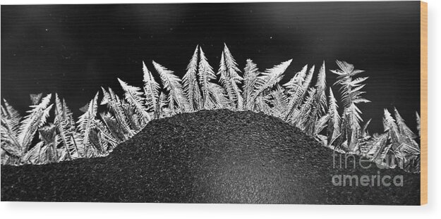 Frost Wood Print featuring the photograph Frosty Forest by Cheryl Baxter