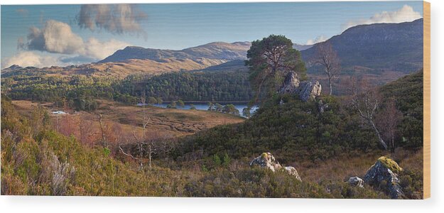 Caledonian Forest Wood Print featuring the photograph Glen Affric panorama II by Gary Eason