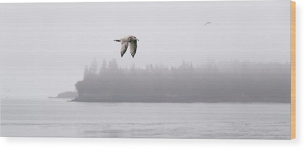 Gull Wood Print featuring the photograph Gull in Flight by Marty Saccone