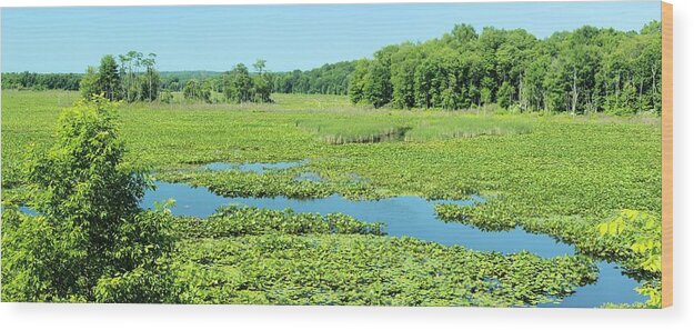Panorama Wood Print featuring the photograph Hartstown Marsh Panorama by Dennis Lundell
