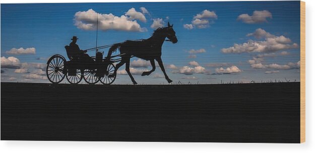 Horse Wood Print featuring the photograph Horse and Buggy Mennonite by Henry Kowalski