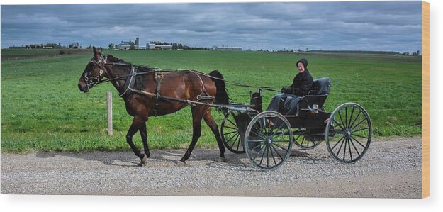 Horse Wood Print featuring the photograph Horse And Buggy on the Farm by Henry Kowalski