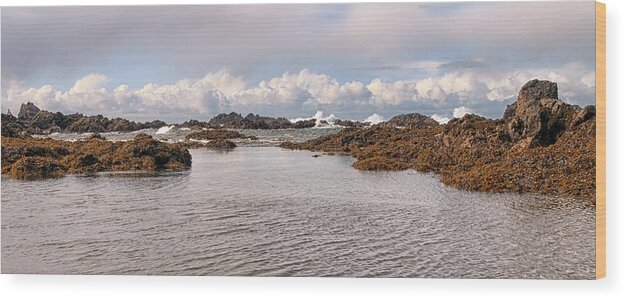 Rain Forest Wood Print featuring the photograph Little Beach Surf at Low Tide by Allan Van Gasbeck