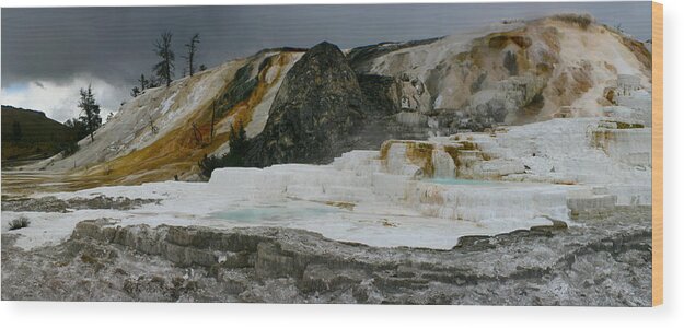 Yellowstone National Park Wood Print featuring the photograph Mammoth Hot Springs by Jon Emery