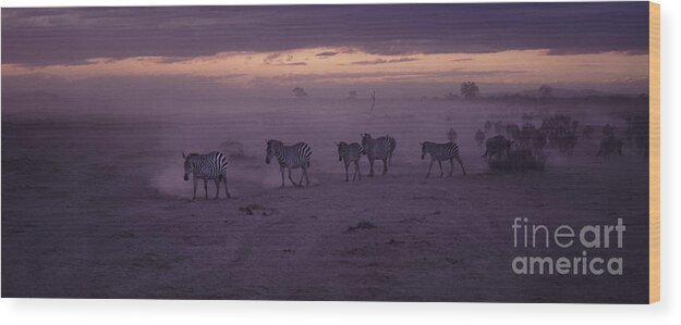 Sunset Wood Print featuring the photograph Night migration by Liz Leyden