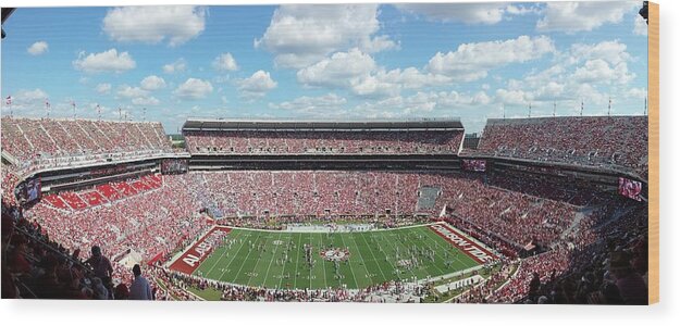 Gameday Wood Print featuring the photograph Stadium Panorama View by Kenny Glover