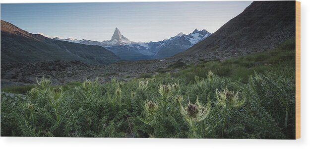 Scenics Wood Print featuring the photograph The Last Light by Tobias Knoch