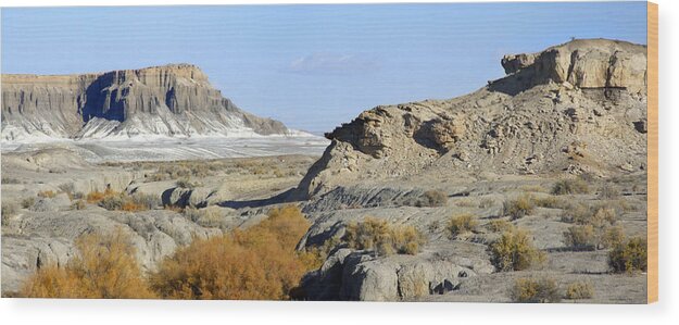 Surreal Wood Print featuring the photograph Utah Outback 42 Panoramic by Mike McGlothlen