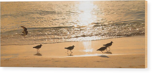 Puerto Morelos Wood Print featuring the photograph Warm Tides by Allan Van Gasbeck