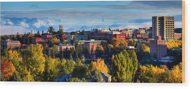 Washington State University In Autumn Wood Print featuring the photograph Washington State University in Autumn by David Patterson