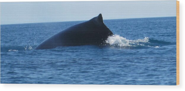 Whale Wood Print featuring the photograph Whale by John Mathews