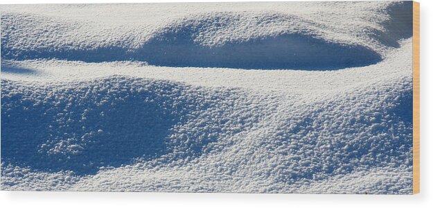 Snow Wood Print featuring the photograph Winter's Blanket by William Selander