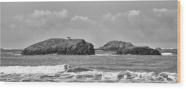 Tofino Wood Print featuring the photograph Zen Rocks Black and White by Allan Van Gasbeck