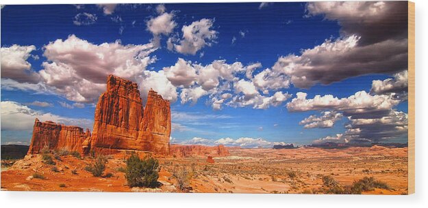 Arches National Park Wood Print featuring the photograph Arches National Park #254 by Mark Smith