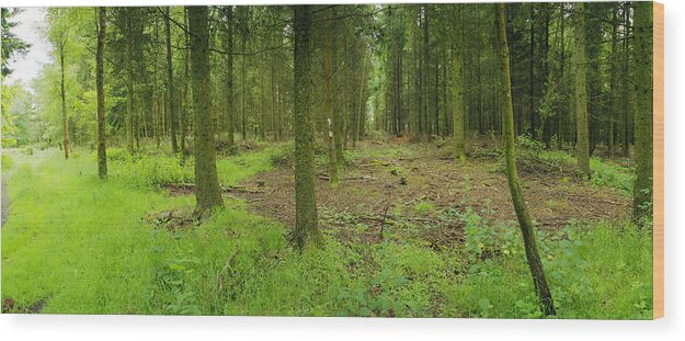 England Wood Print featuring the photograph Exmoor Forest by Jan W Faul