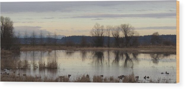Wetland Reflections Wood Print featuring the photograph January Thaw 2 #1 by I'ina Van Lawick
