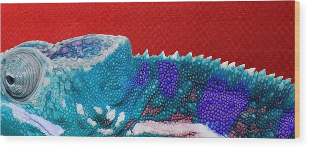 beasts Wood Print featuring the photograph Turquoise Chameleon on Red #1 by Serge Averbukh