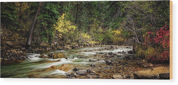 Autumn Wood Print featuring the photograph Autumn Stream #3 by Andrew Soundarajan