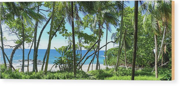Costa Rica Wood Print featuring the photograph Coata Rica Beach 1 by Dillon Kalkhurst