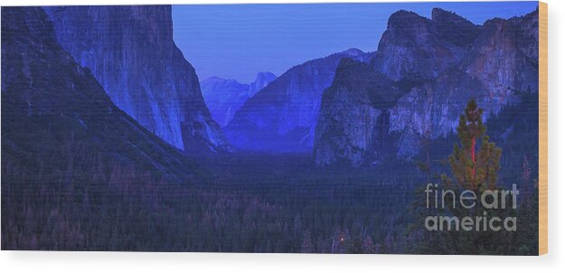 Yosemite Wood Print featuring the photograph El Capitan blue hour by Benny Marty