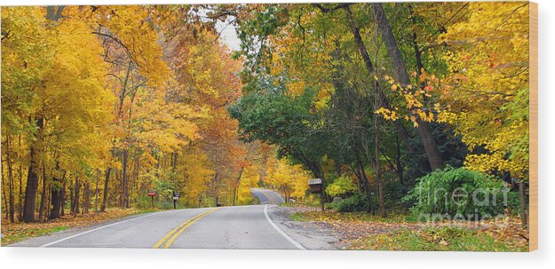 Fall Color Wood Print featuring the photograph Fall Color Along Road 5643 by Jack Schultz