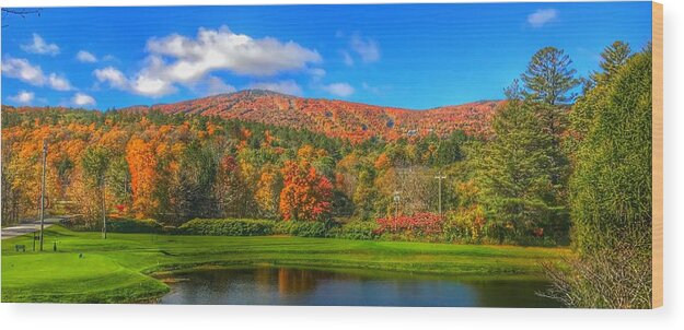 Foliage Wood Print featuring the photograph Fall Foliage by Pat Moore