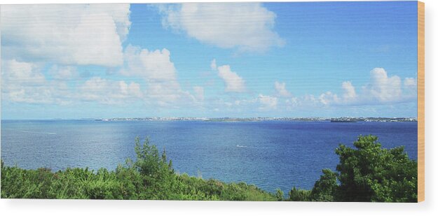 Bermuda Wood Print featuring the photograph From Scaur Hill Bermuda by Ian MacDonald