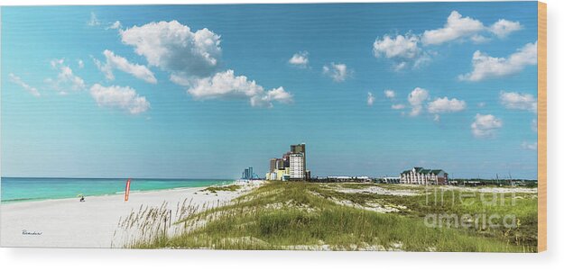 Al Wood Print featuring the photograph Gulf Shores AL Beach Seascape 1610a by Ricardos Creations