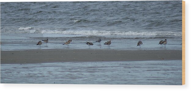 Birds Wood Print featuring the photograph Horizontal Shoreline with Birds by Margie Avellino