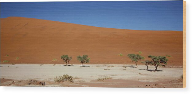 Sossusvlei Wood Print featuring the painting Namibia Sossusvlei 1 by Robert SORENSEN